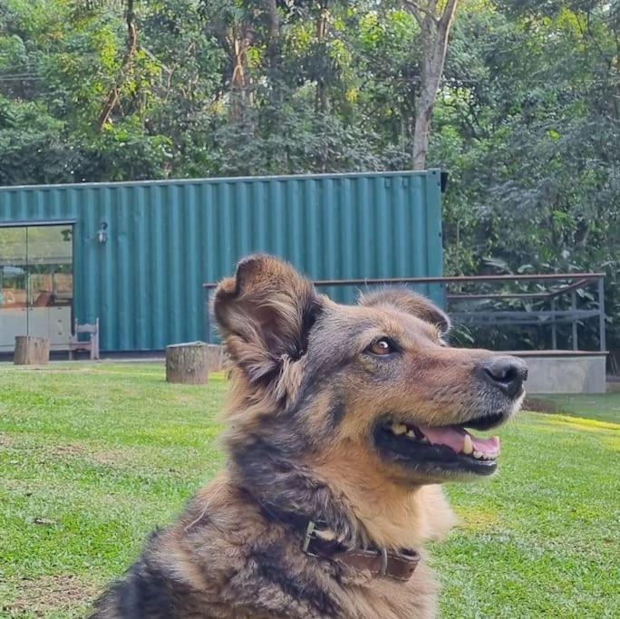 圣保罗Casa Container Na Represa De Guarapiranga! Sonho!别墅 外观 照片
